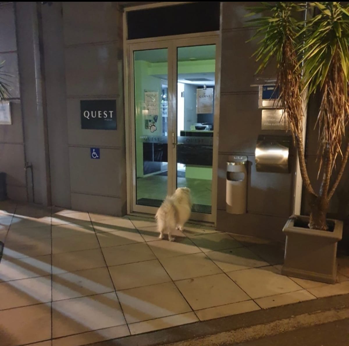 Quest Prahran — 4