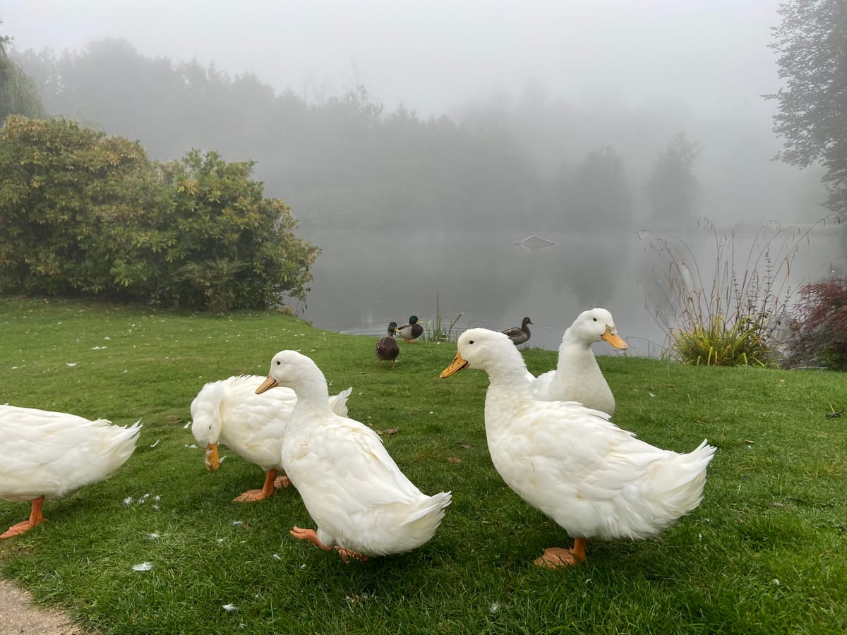 Inn on the Lake — 3
