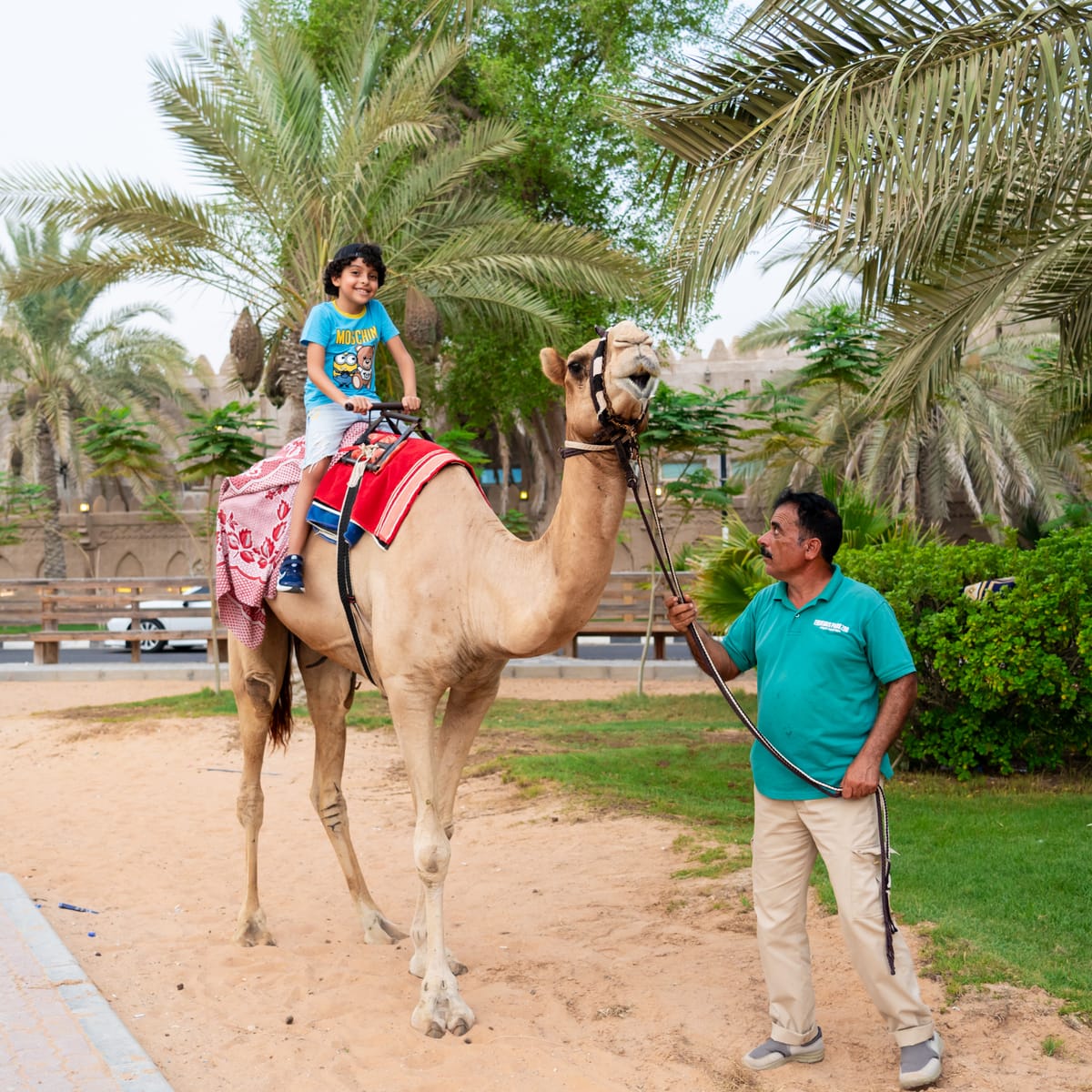 Emirates Park Resort — 5